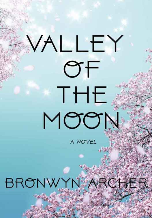 Valley of the Moon by Bronwyn Archer