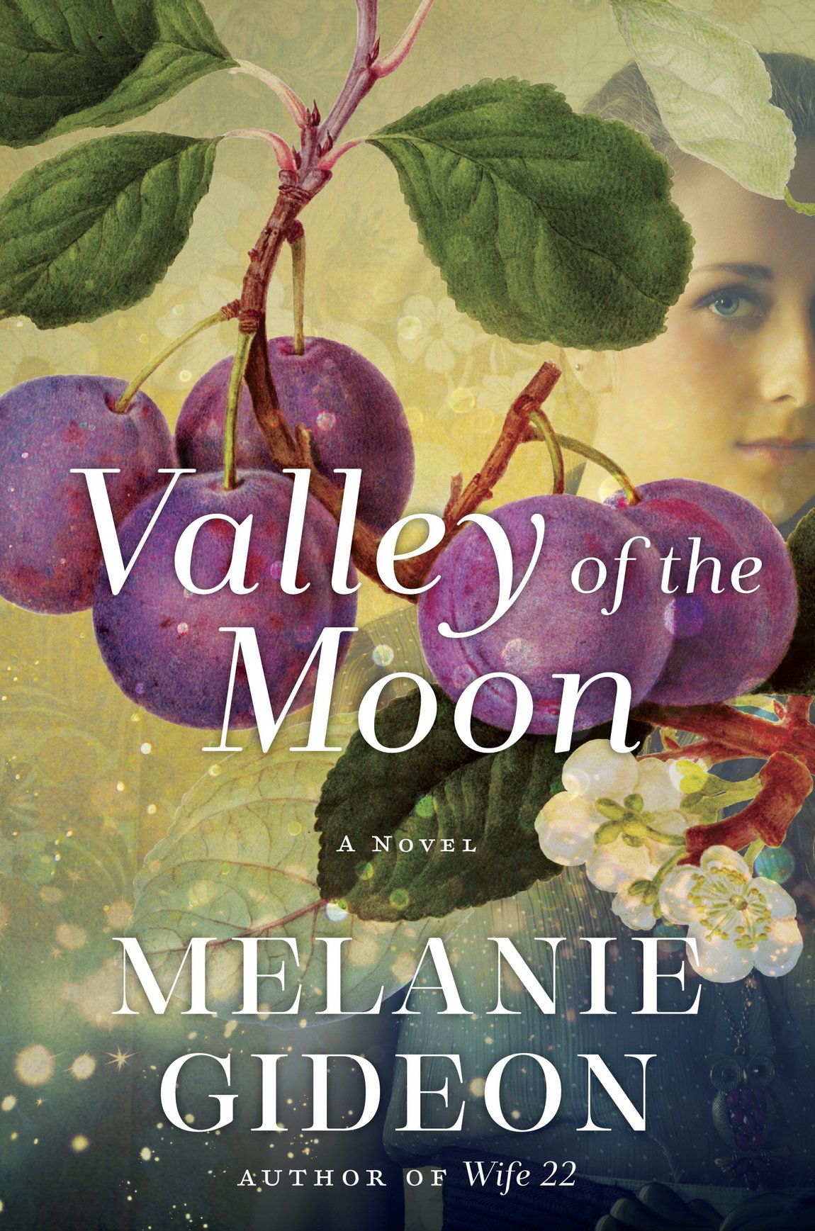 Valley of the Moon (2016) by Melanie Gideon