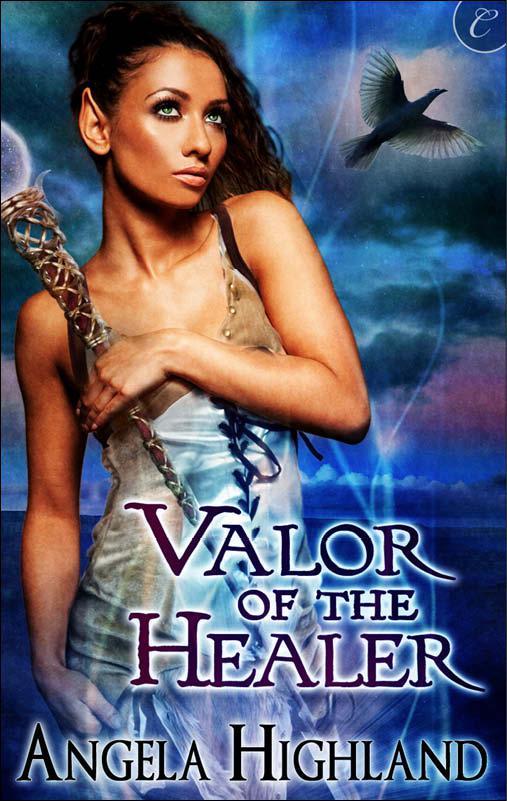 Valor of the Healer by Angela Highland