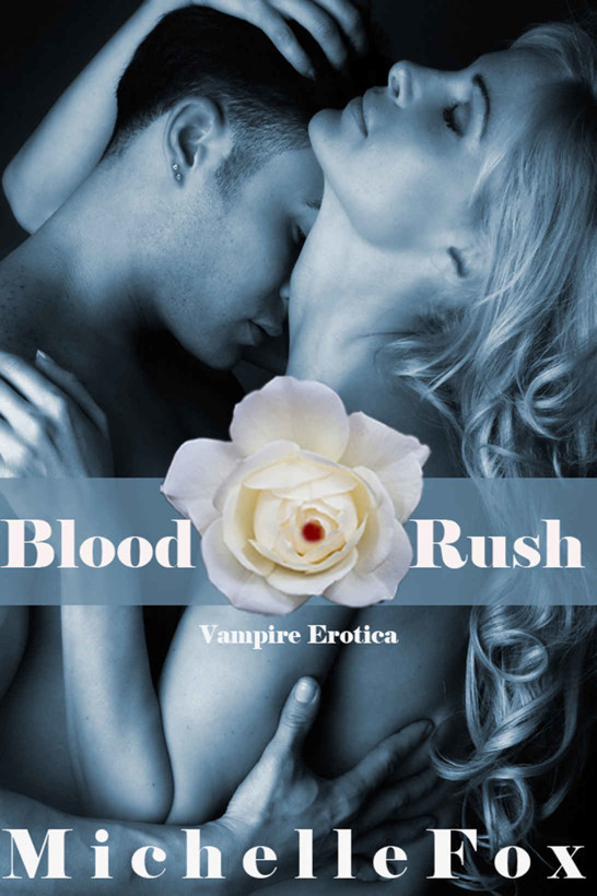 Vampire Erotica Blood Rush by Michelle Fox