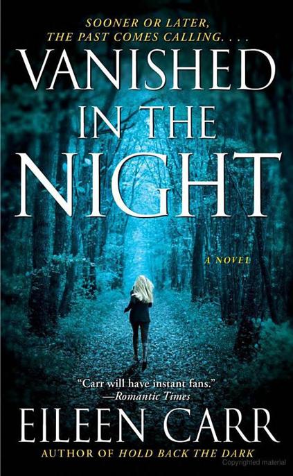 Vanished in the Night by Eileen Carr