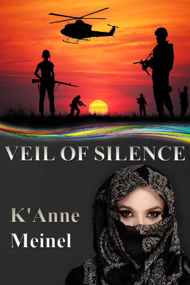 Veil of Silence by K'Anne Meinel