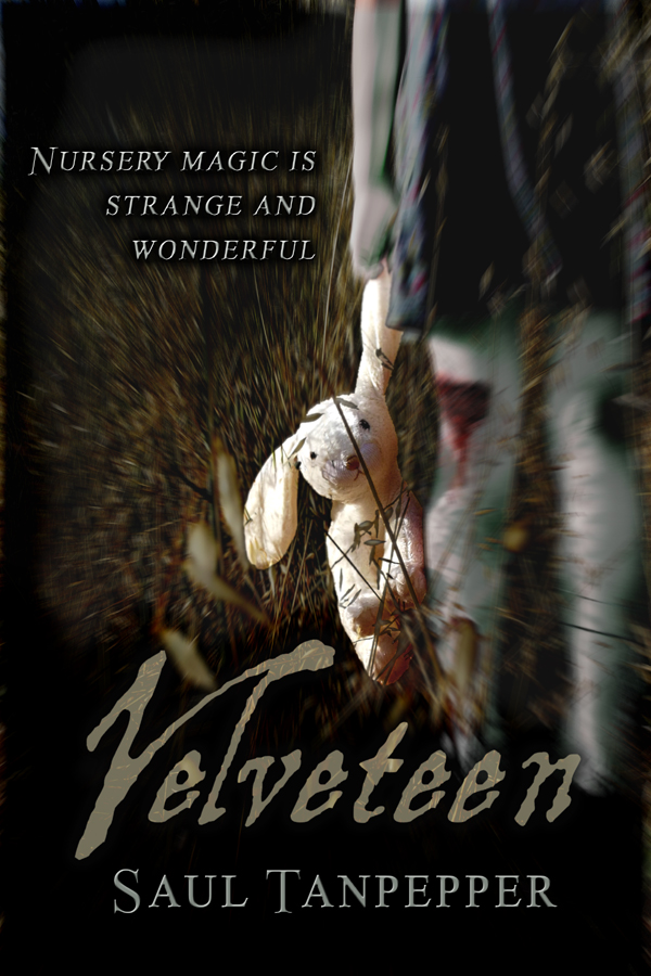 Velveteen by Saul Tanpepper