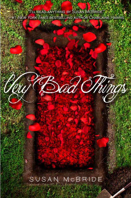 Very Bad Things (2014) by Susan McBride