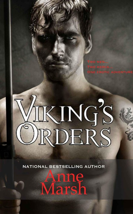 Viking's Orders by Marsh, Anne