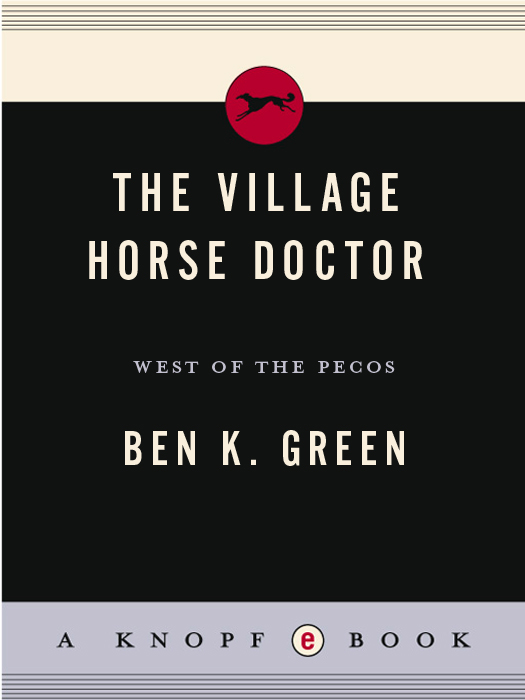 Village Horse Doctor (2013)