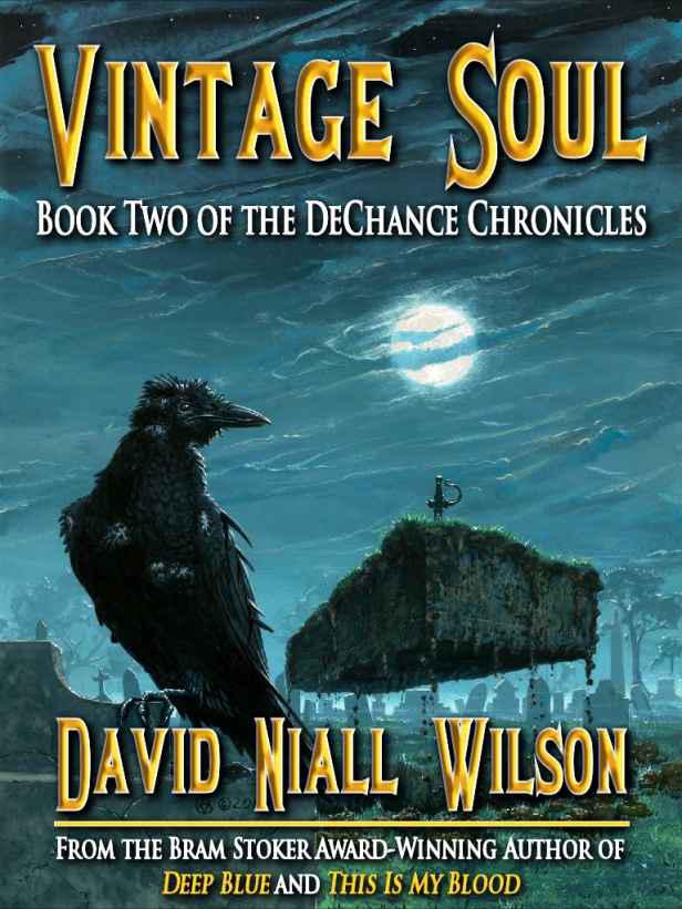 Vintage Soul by David Niall Wilson