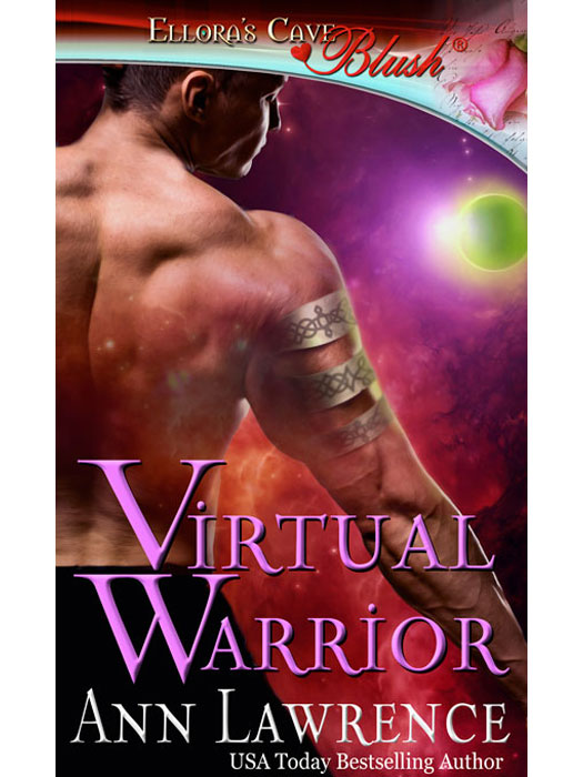 VirtualWarrior (2013) by Ann   Lawrence