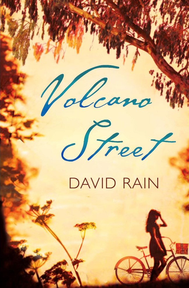 Volcano Street by David Rain