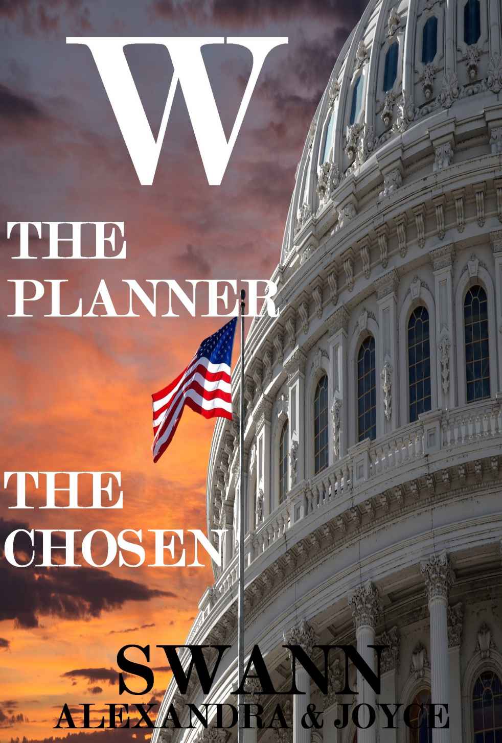 W: The Planner, The Chosen by Alexandra Swann