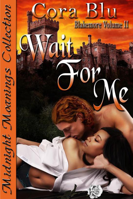 Wait for Me by Cora Blu