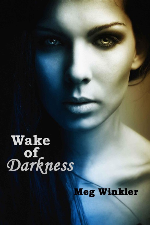 Wake of Darkness by Winkler, Meg