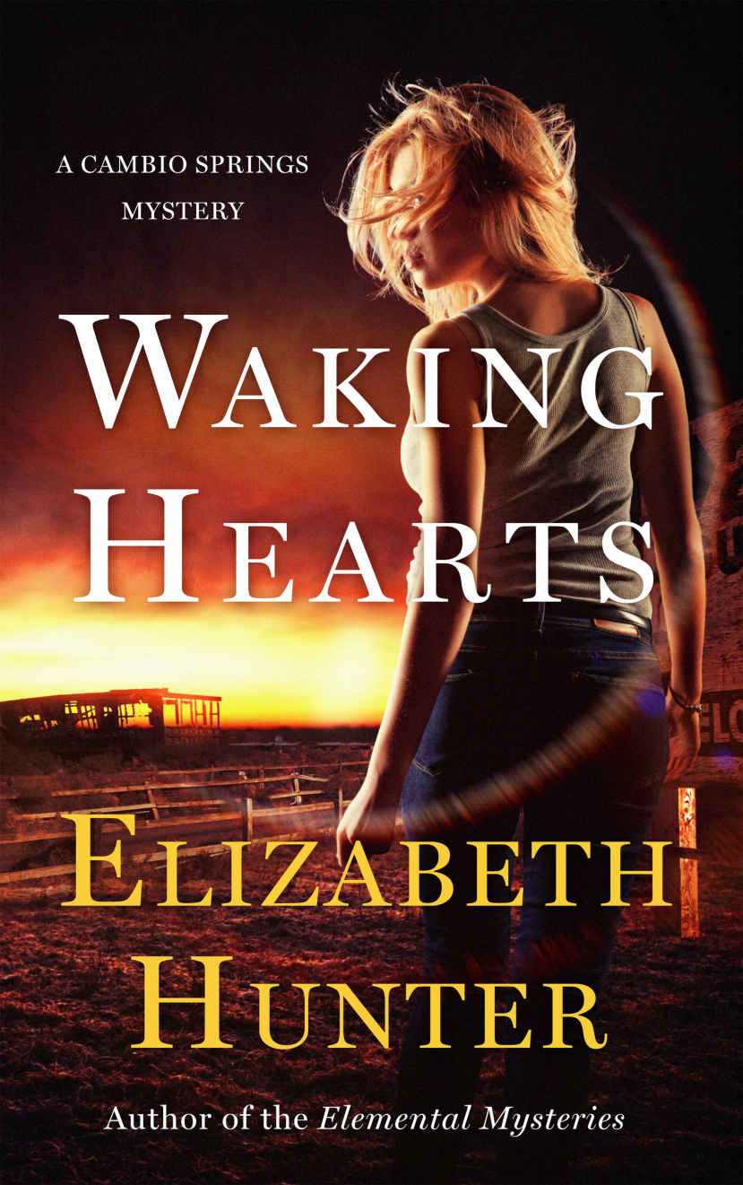 Waking Hearts by Elizabeth   Hunter