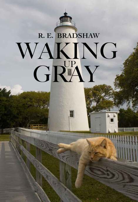 Waking Up Gray by R. E. Bradshaw