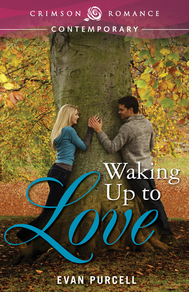 Waking Up to Love (2014) by Evan Purcell