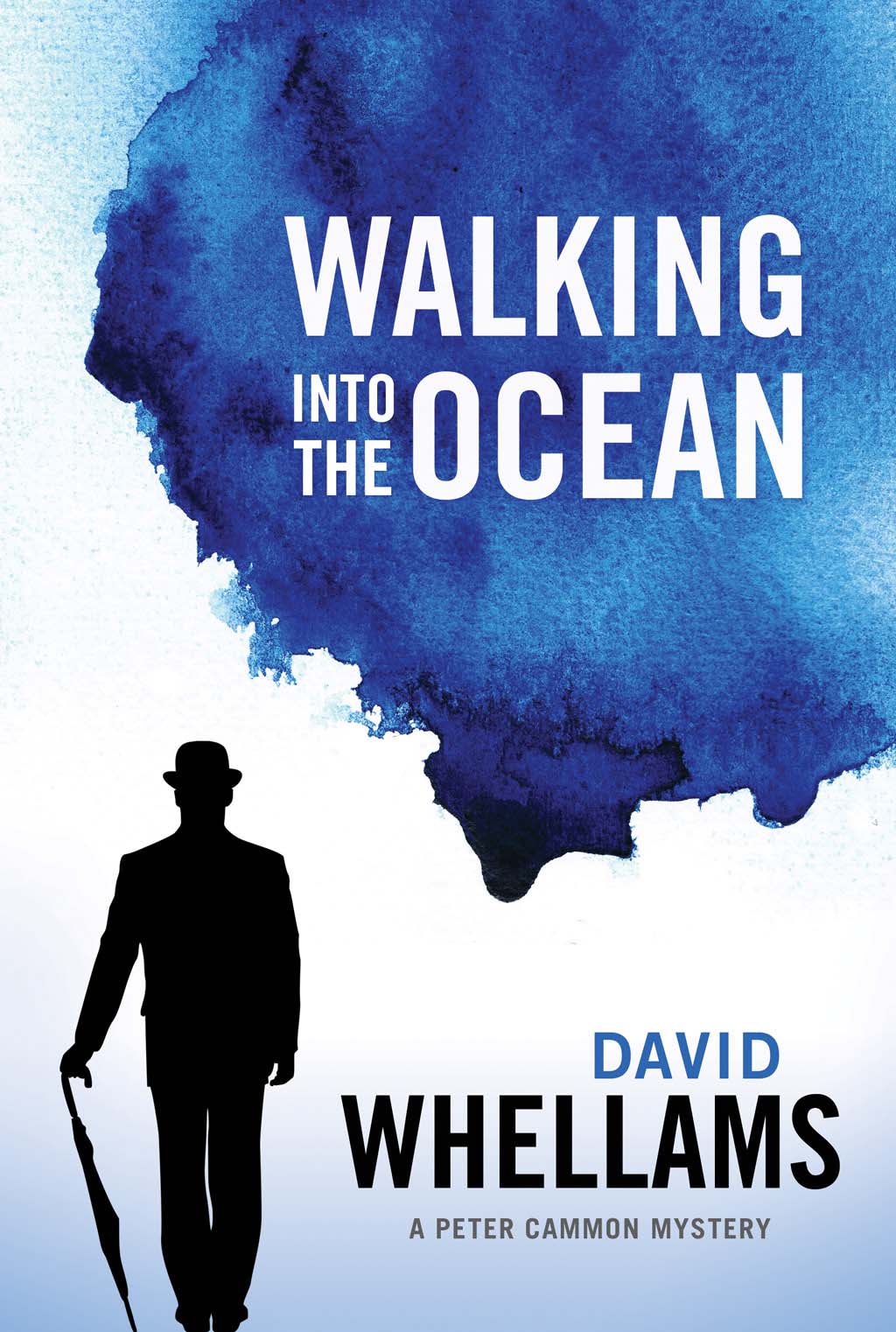 Walking into the Ocean (2012) by David Whellams