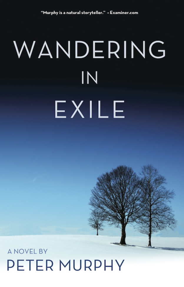 Wandering in Exile by Peter Murphy