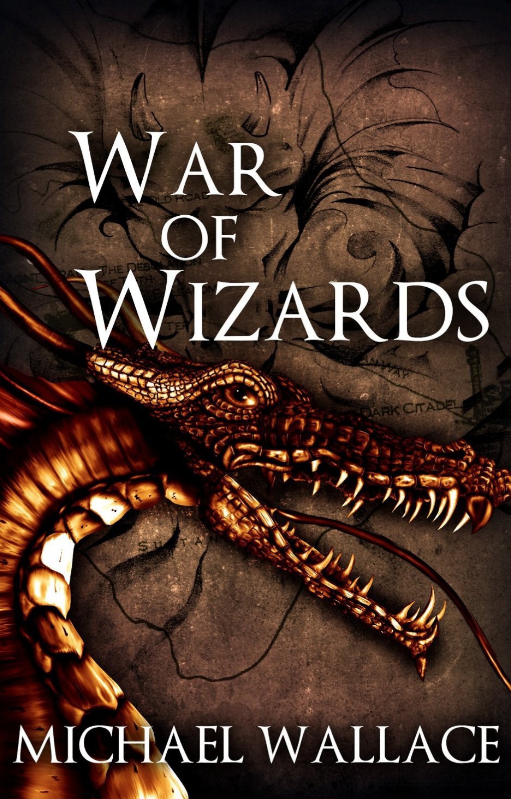 War of Wizards by Michael  Wallace