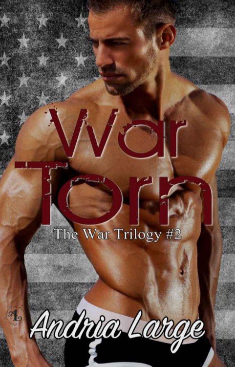 War Torn by Andria Large