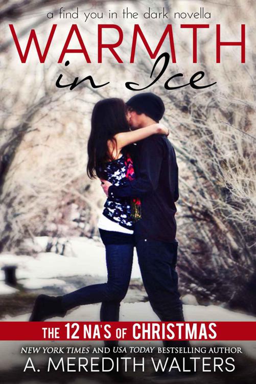 Warmth in Ice (A Find You in the Dark novella)