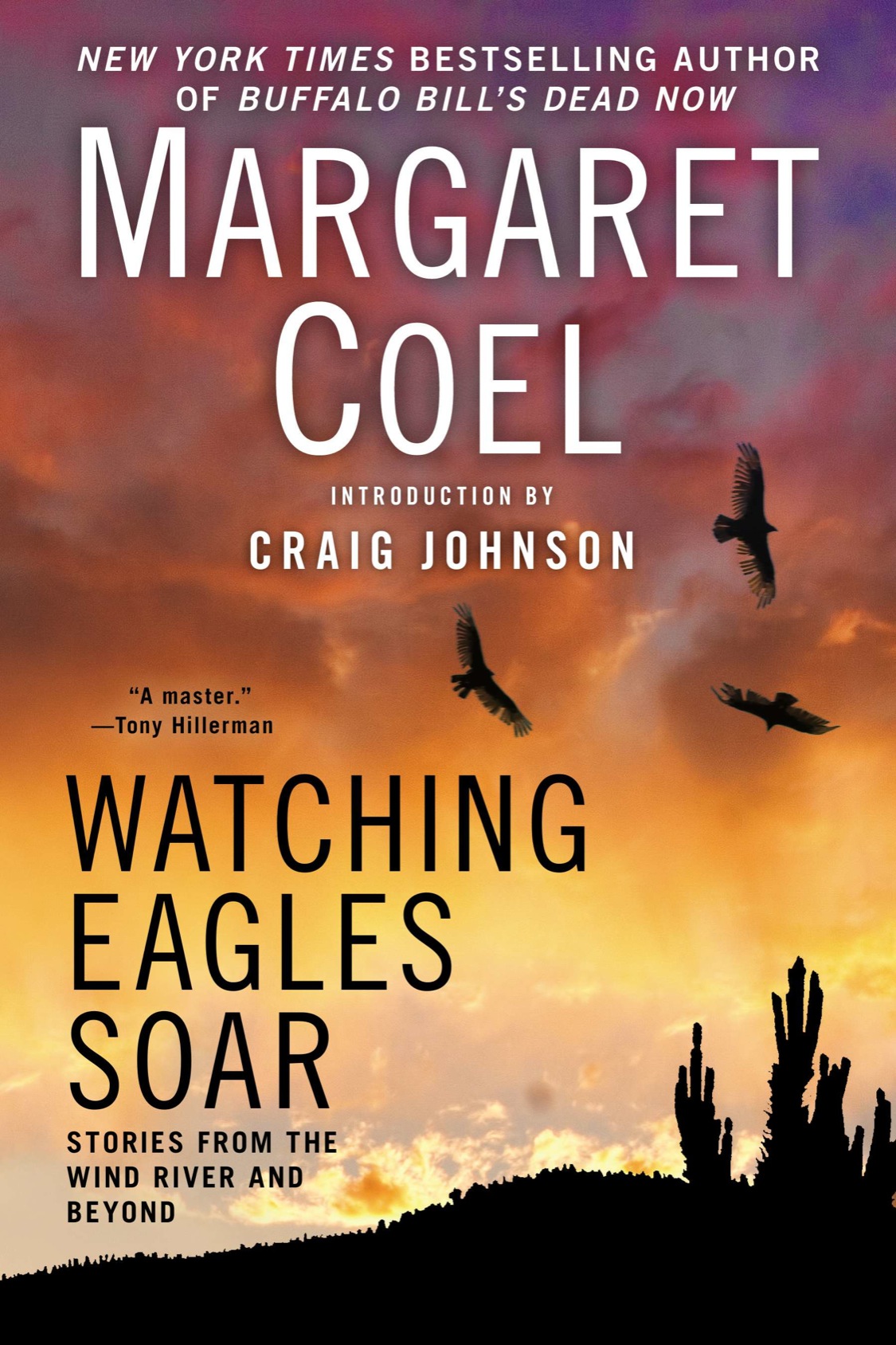 Watching Eagles Soar (2013) by Margaret Coel