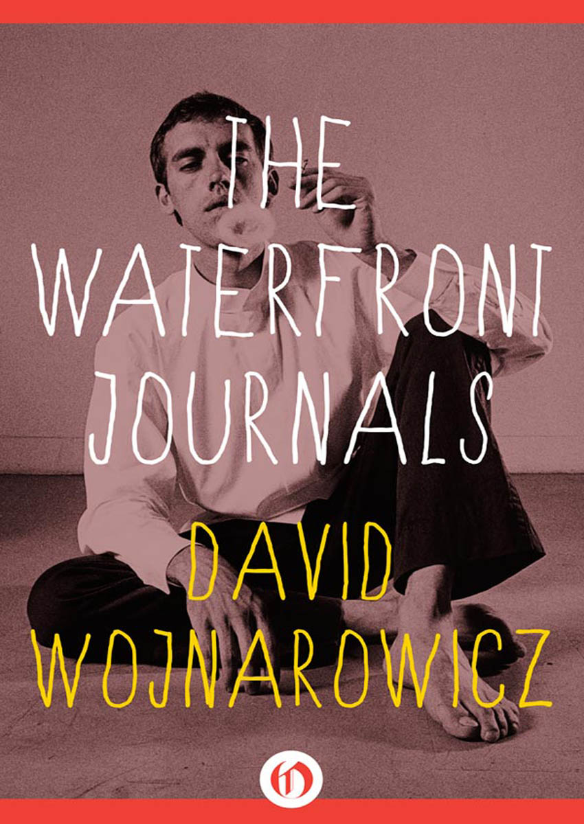 Waterfront Journals by David Wojnarowicz