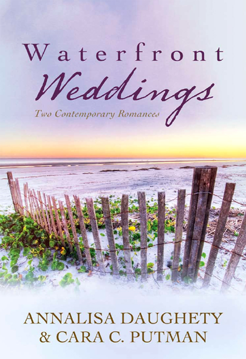 Waterfront Weddings (2012) by Annalisa Daughety