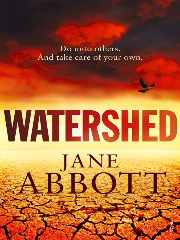 Watershed (2016) by Jane Abbott