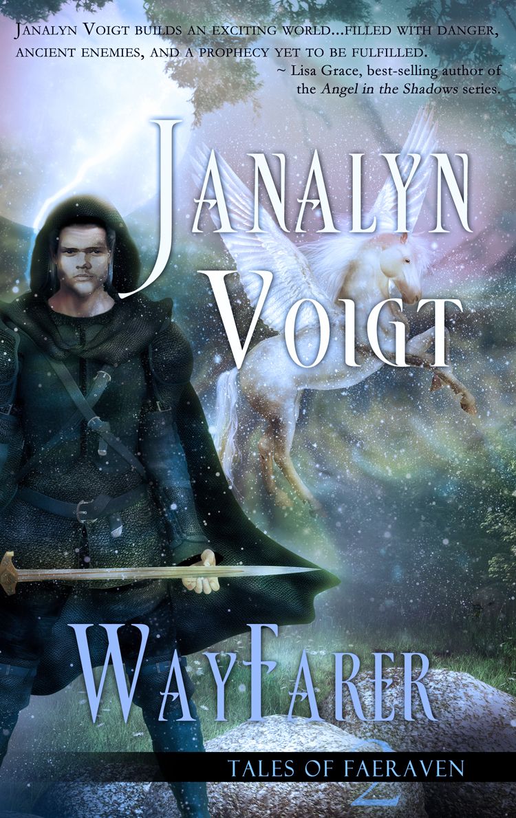 WayFarer (2013) by Janalyn Voigt