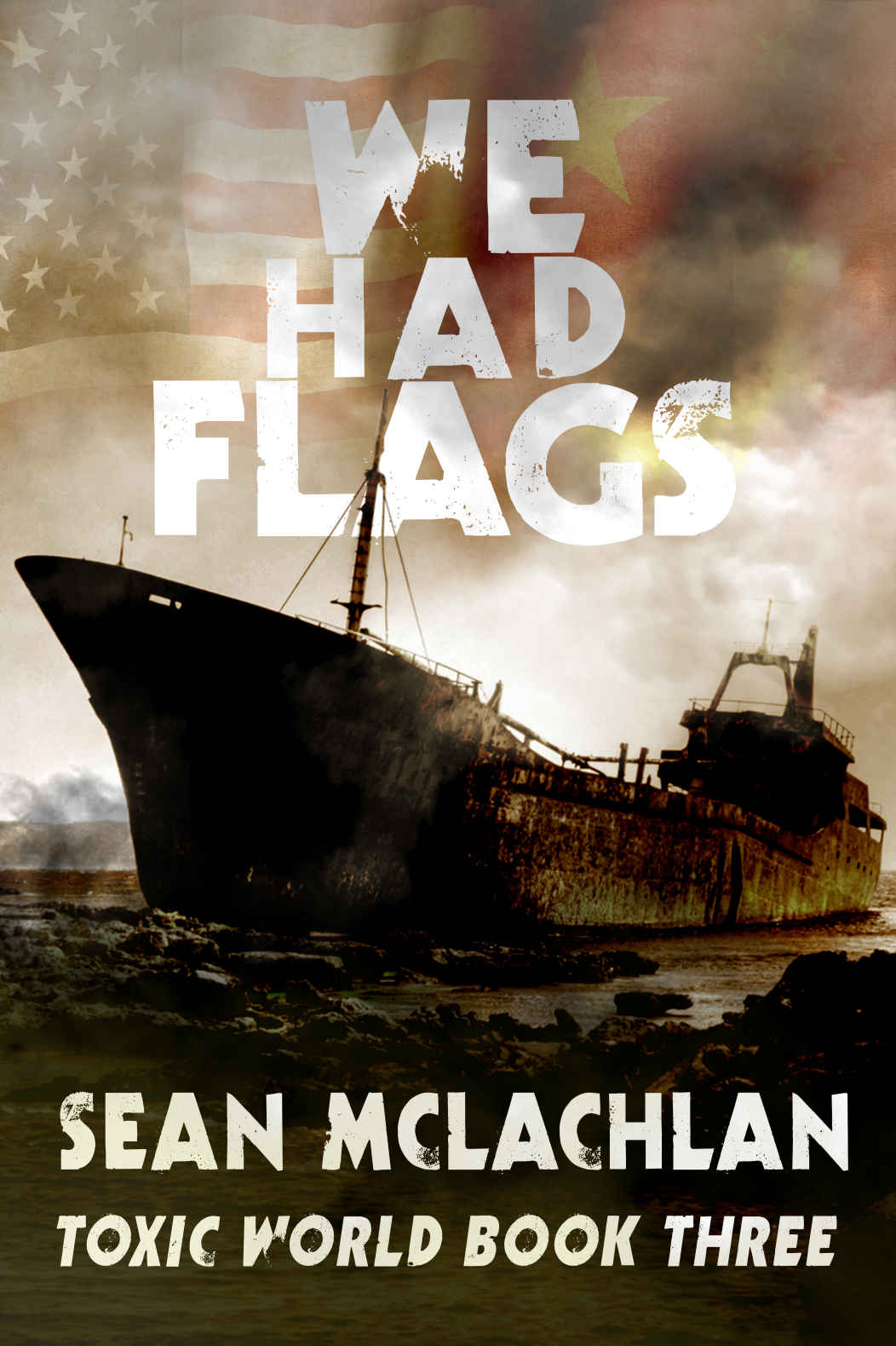 We Had Flags (Toxic World Book 3)