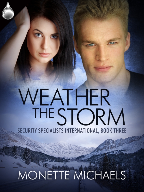 Weather the Storm (Security Specialists International #3)