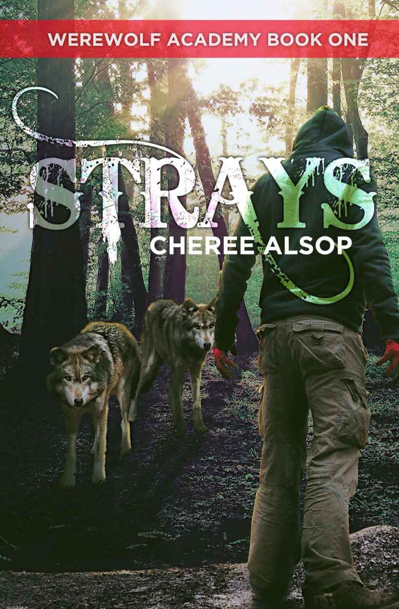 Werewolf Academy Book 1: Strays by Cheree Alsop