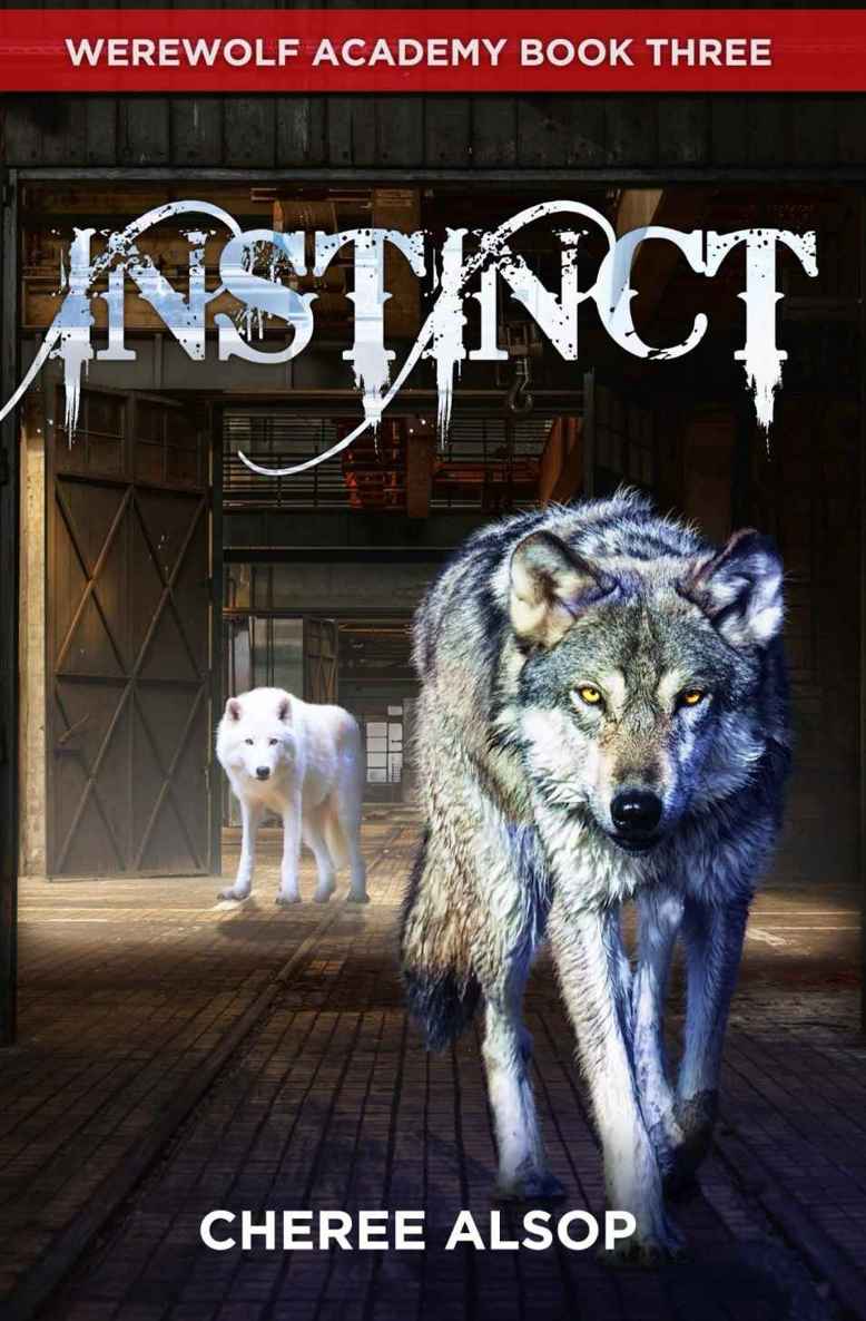 Werewolf Academy Book 3: Instinct by Cheree Alsop