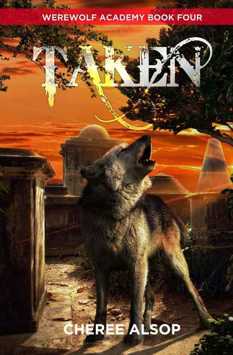 Werewolf Academy Book 4: Taken