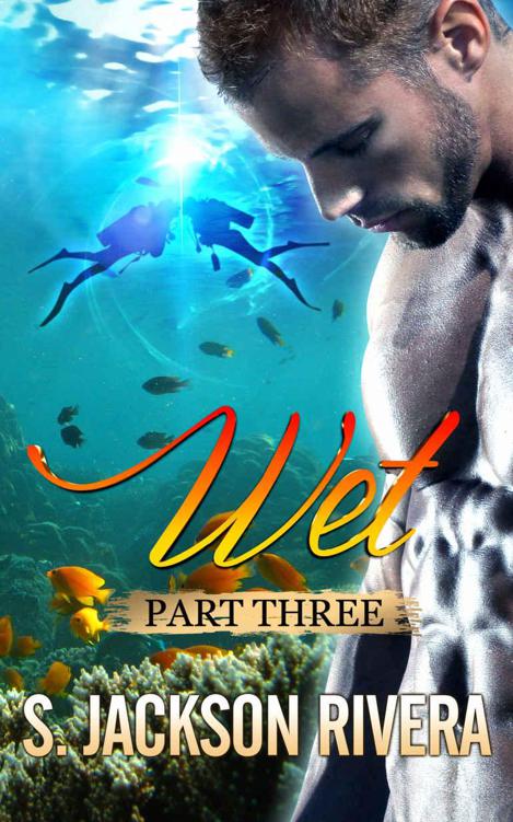 Wet Part 3 by Rivera, S Jackson