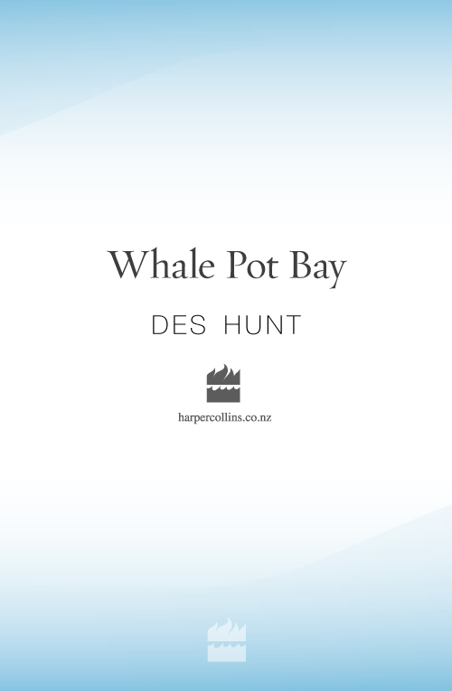 Whale Pot Bay by Des Hunt