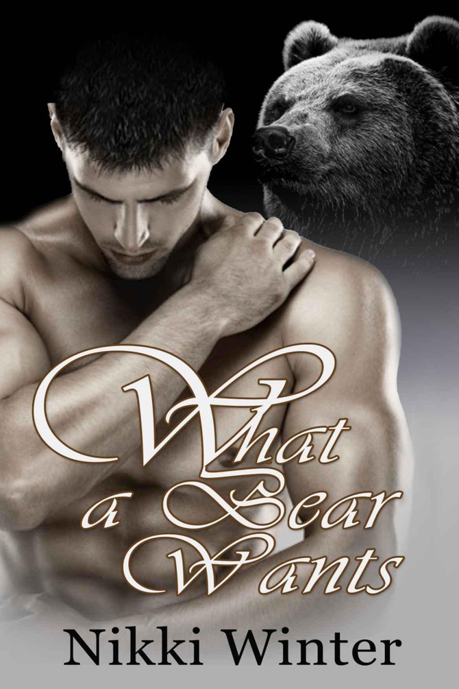 What a Bear Wants by Winter, Nikki