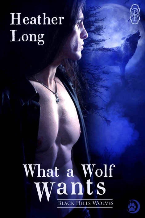 What a Wolf Wants (Black Hills Wolves Book 2) by Long, Heather