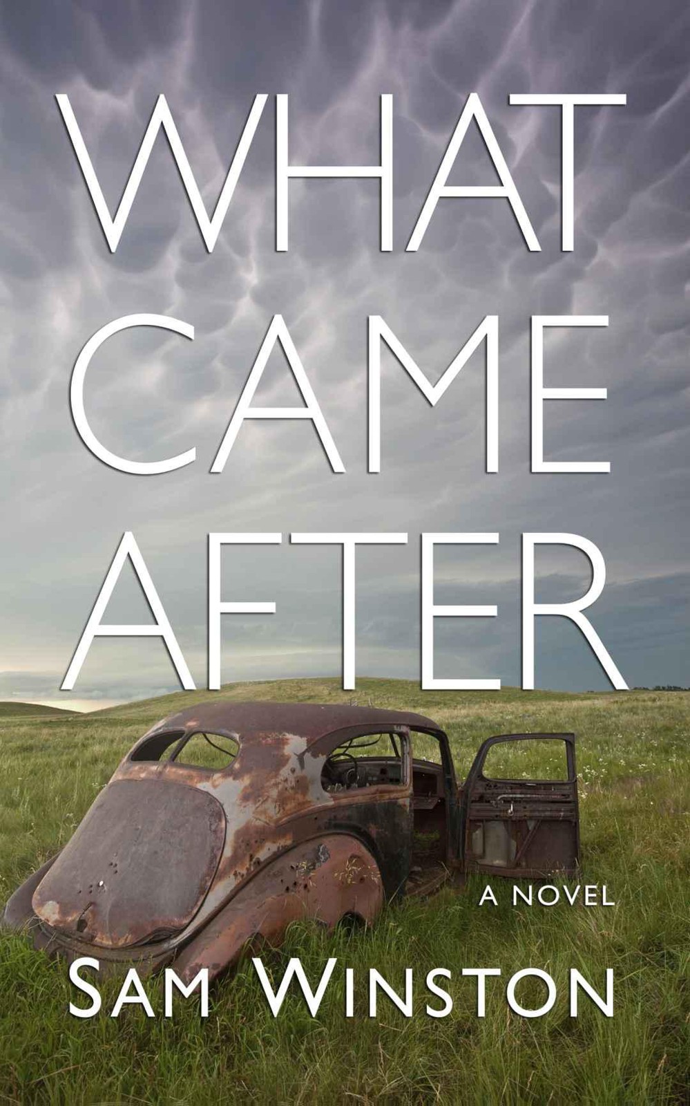 What Came After by Sam Winston