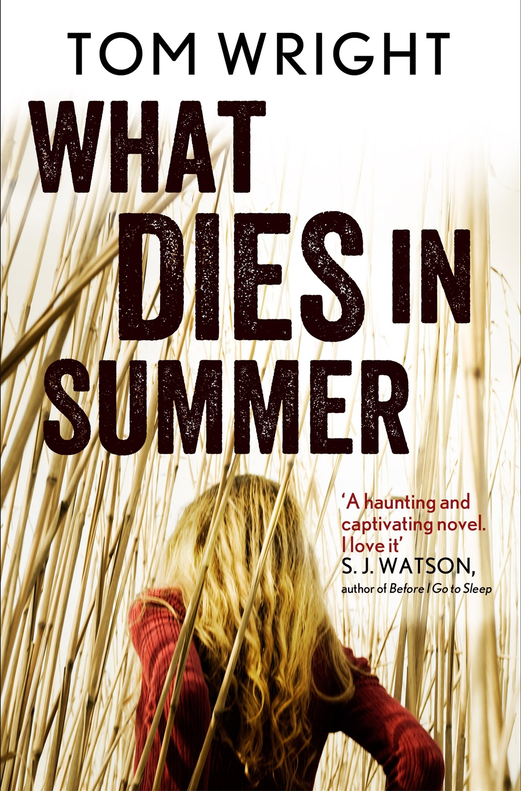 What Dies in Summer by Tom   Wright