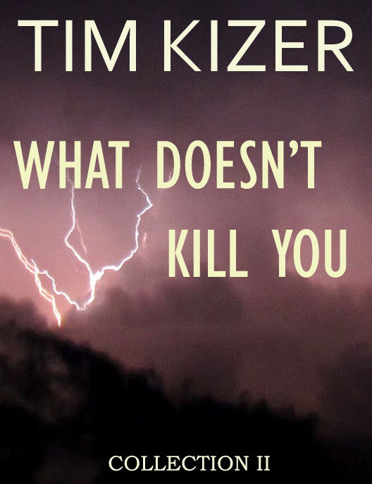 What Doesn't Kill You (A Suspense Collection) by Tim Kizer