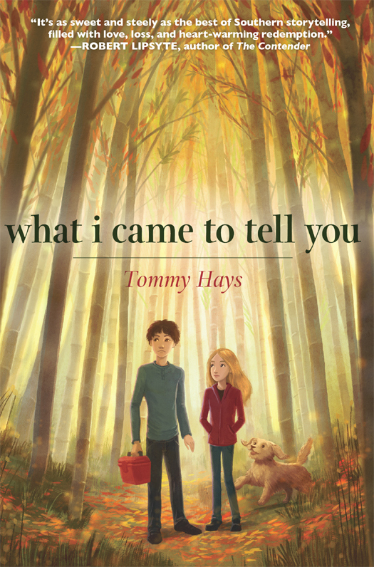 What I Came to Tell You (2013)