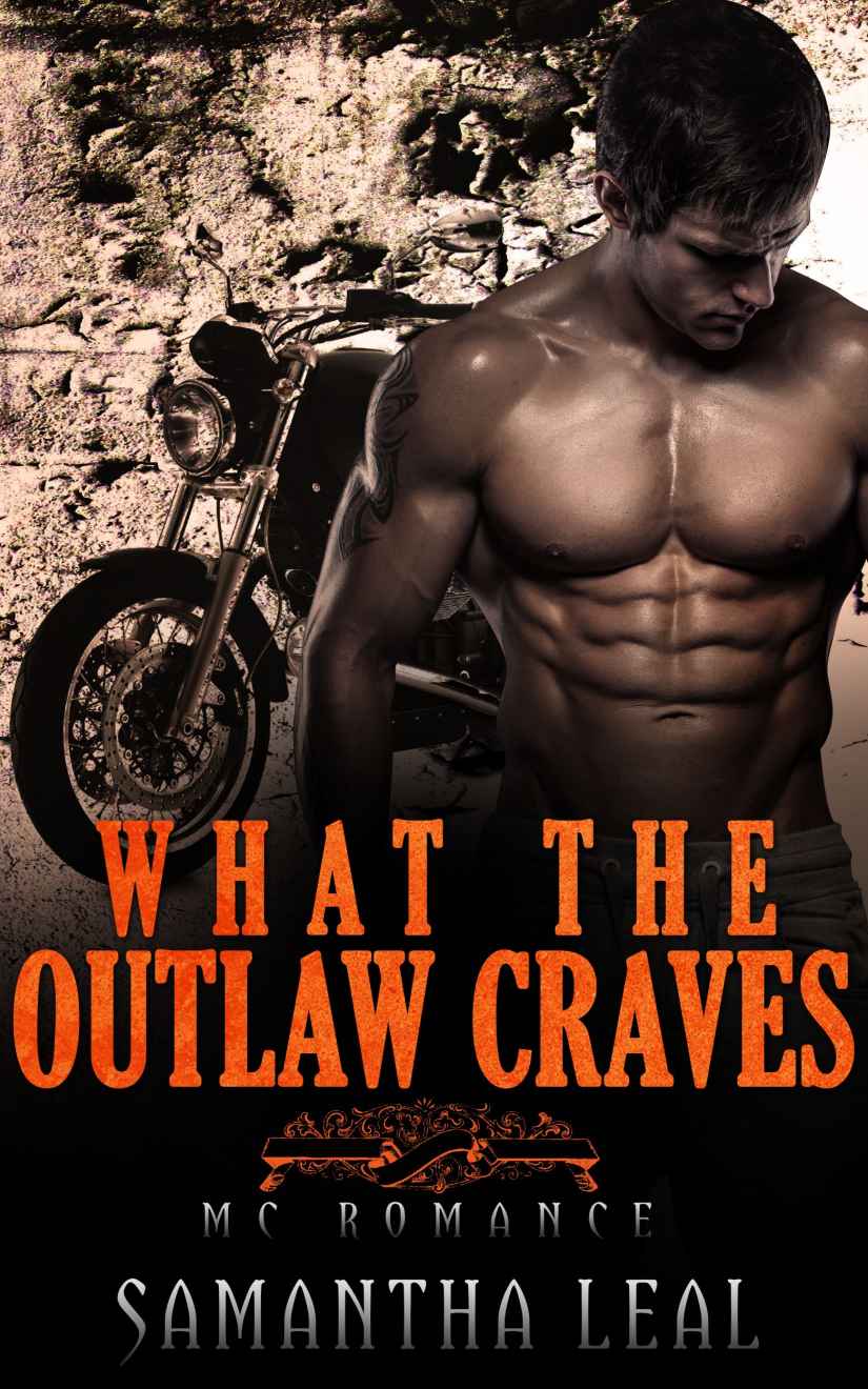 What the Outlaw Craves by Samantha Leal