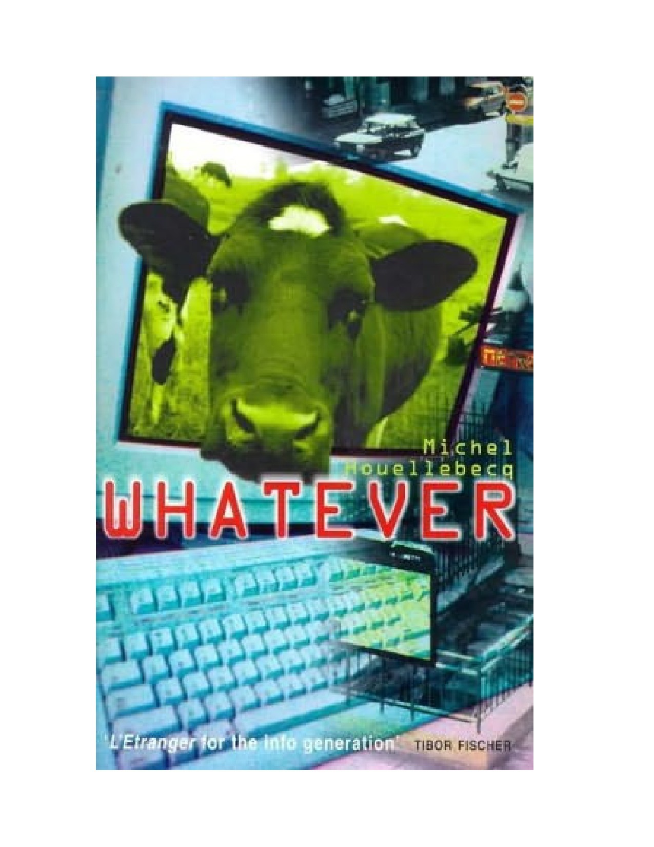 Whatever: a novel by Michel Houellebecq