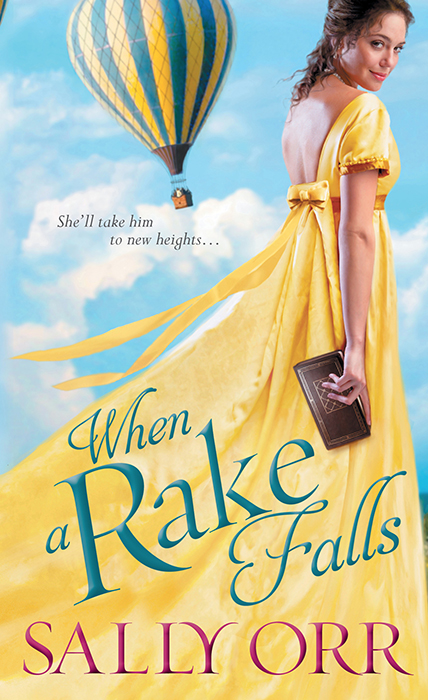 When a Rake Falls by Sally Orr