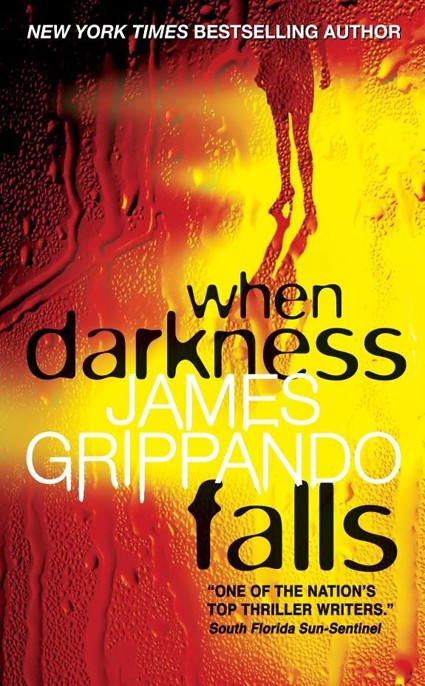 When Darkness Falls by Grippando, James