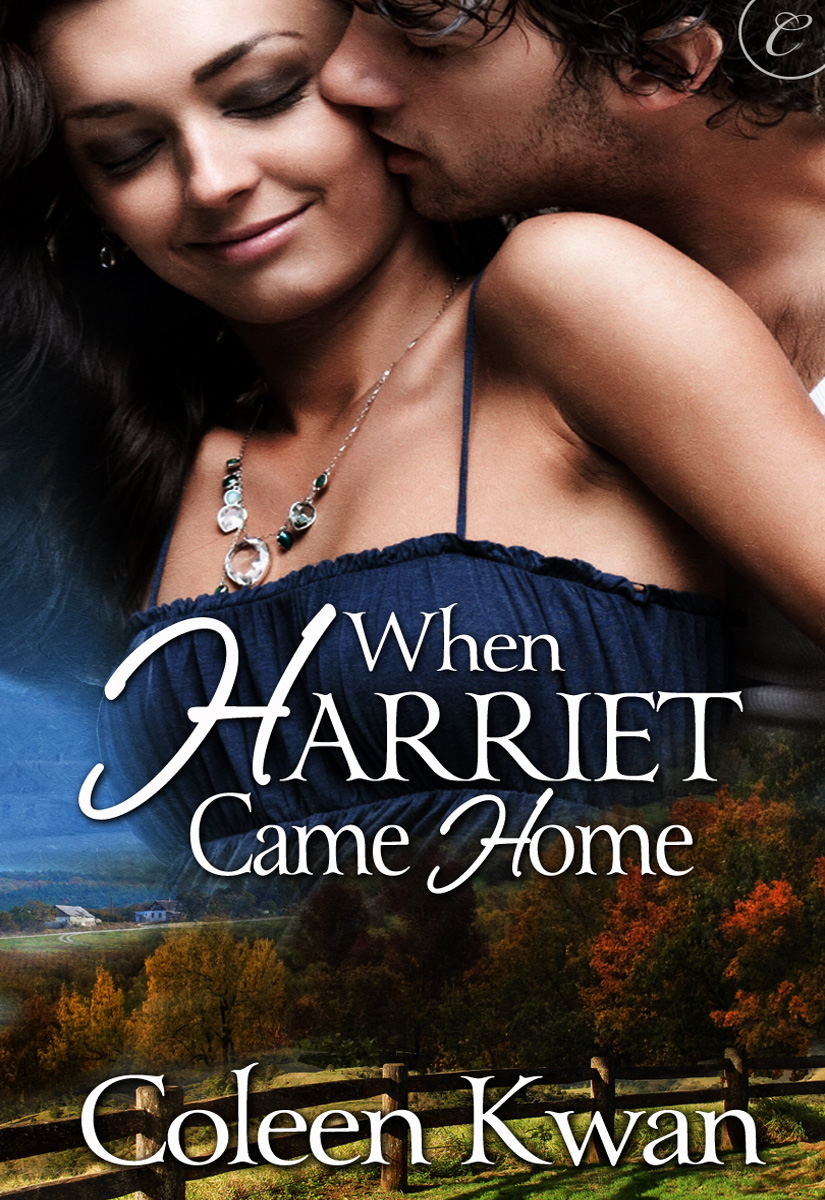 When Harriet Came Home (2011) by Coleen Kwan