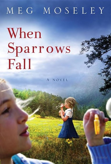 When Sparrows Fall by Meg Moseley