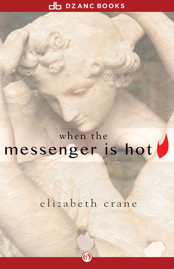 When the Messenger Is Hot (2003) by Elizabeth Crane