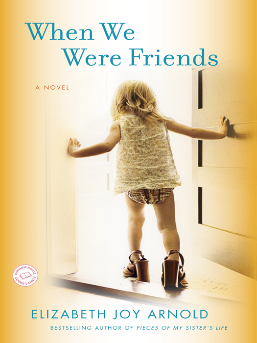 When We Were Friends (2011) by Elizabeth Arnold